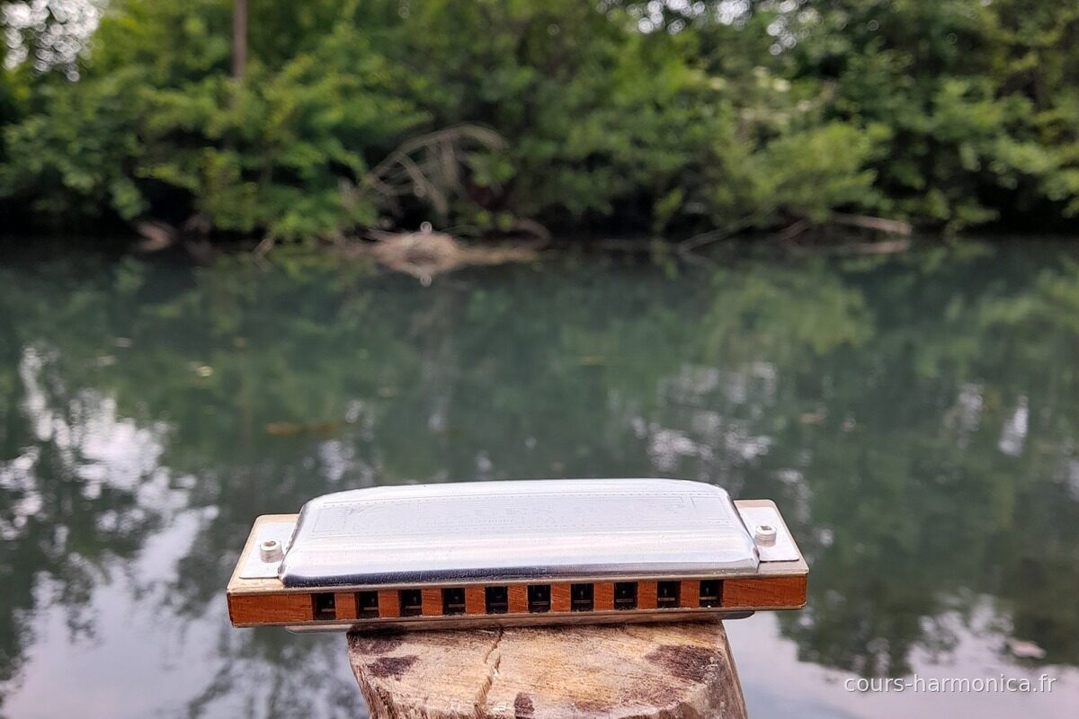 Harmonica diatonique posé sur une souche au bord de l'eau (photo Alain Messier)
